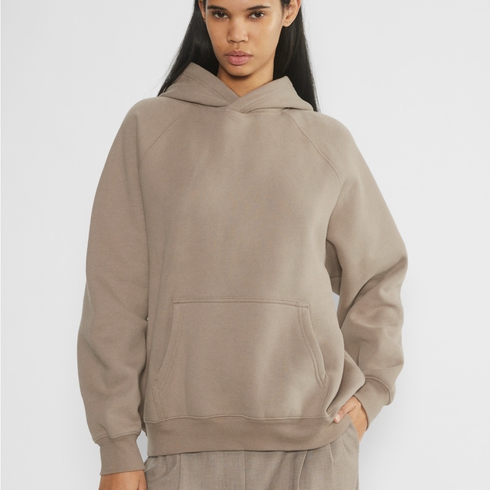 Aritzia TNA Perfect Hoodie (Clamshell Brown)